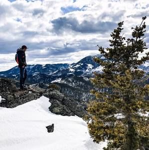 Meet your Posher, Robert